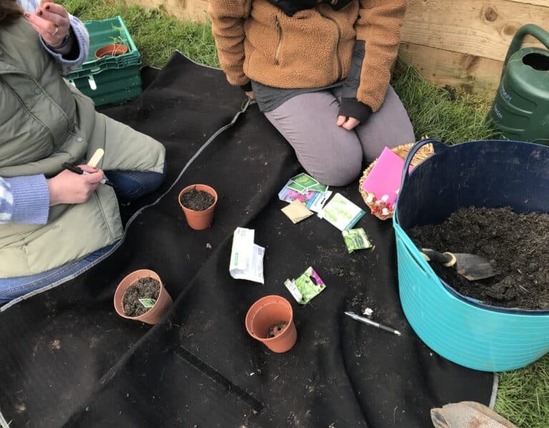 The Sirona Speech and Language Team project gets the go ahead Sirona