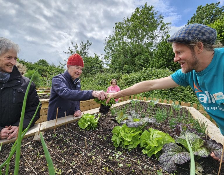 Knowle Dementia Allotment Grow with a Foundation Grant! Knowle Dementia Allotment Grow with a Foundation Grant!