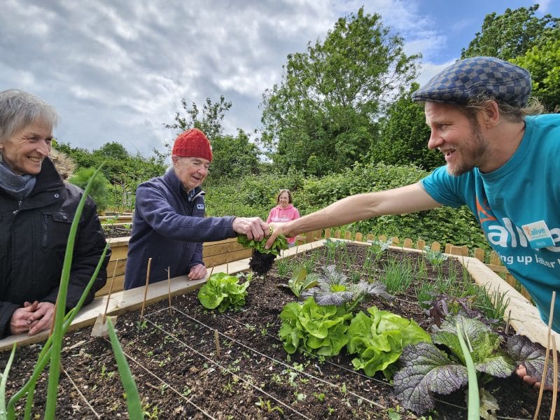 Knowle Dementia Allotment Grow with a Foundation Grant! Knowle Dementia Allotment Grow with a Foundation Grant!